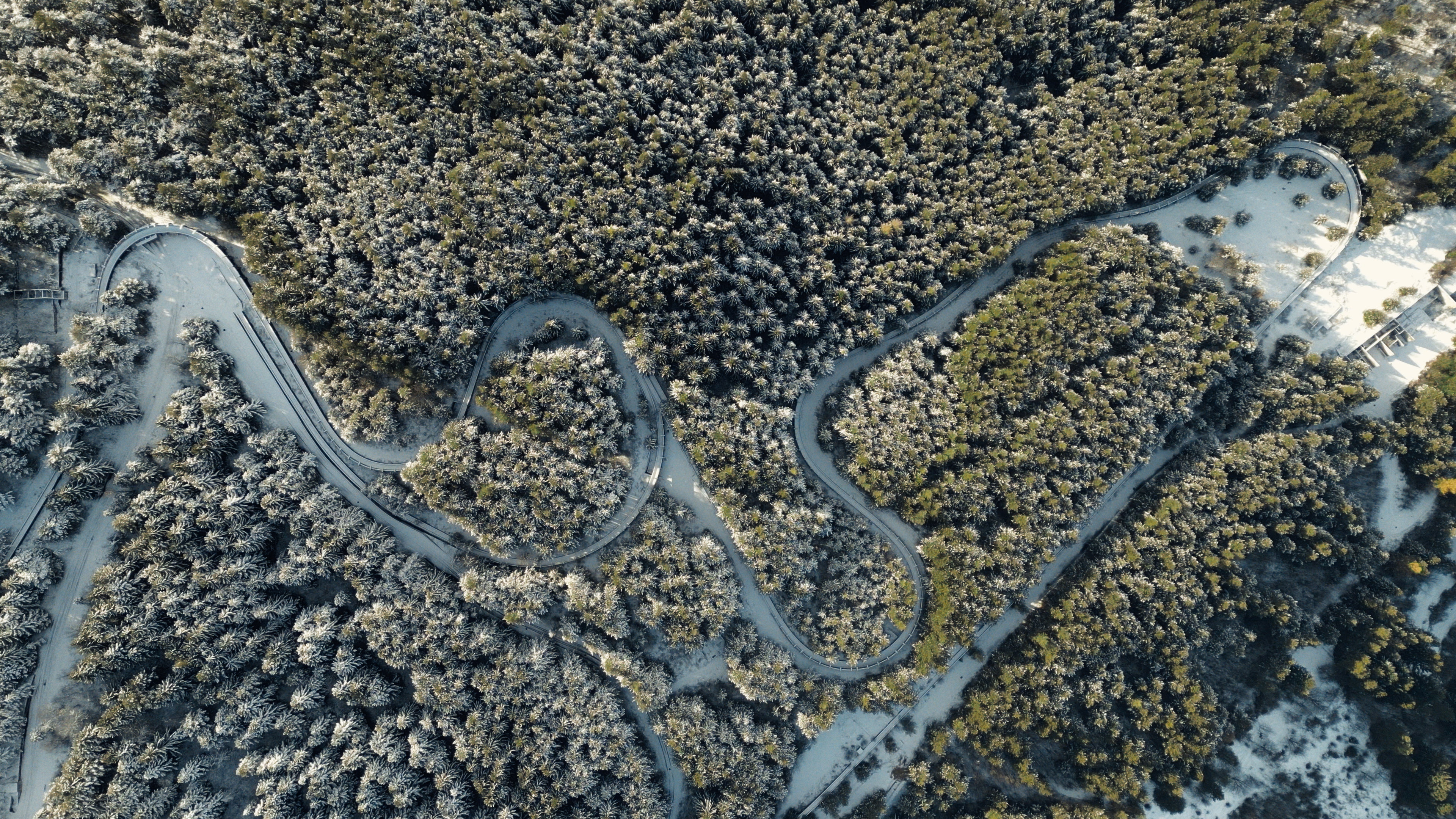 The Track Review: Sled It Be